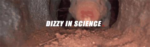 裸鼹鼠不衰老为什么会死,裸鼹鼠一生不得病吗