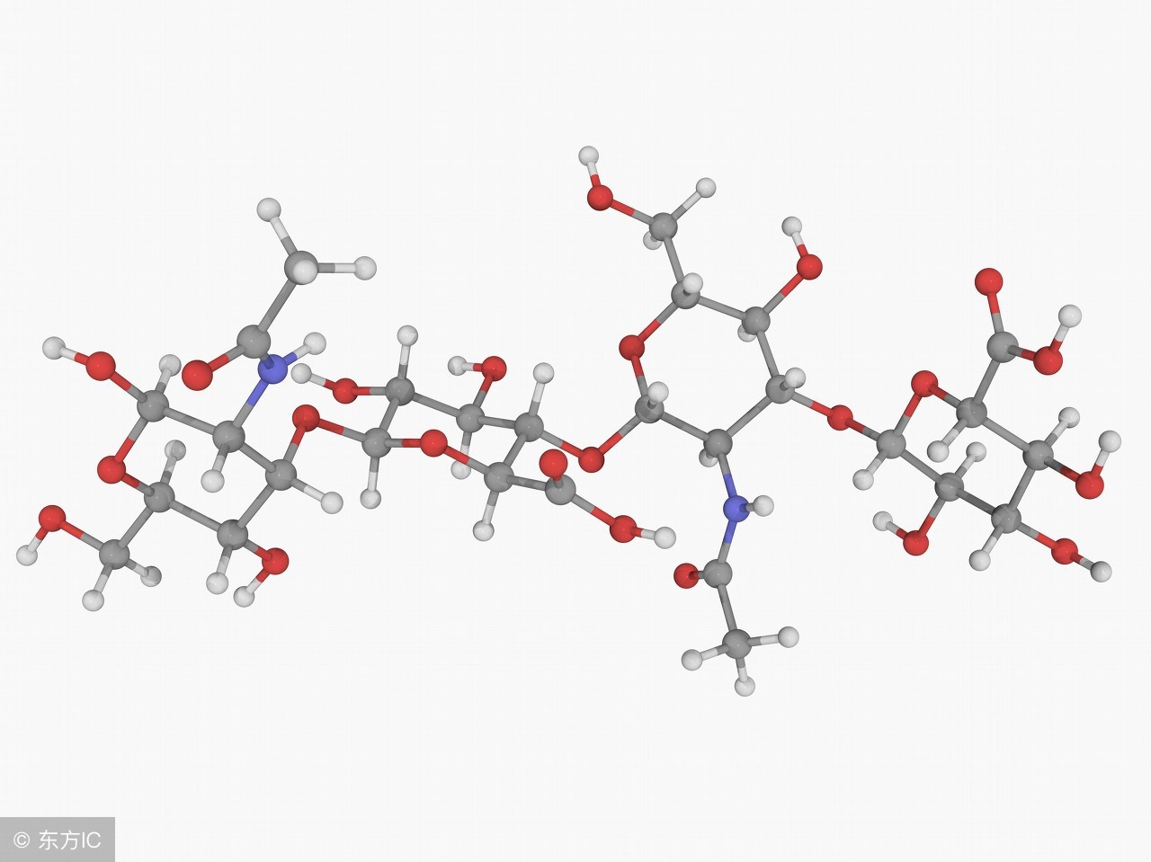 自愈能力最强的哺乳动物,唯一不会得癌症的哺乳动物