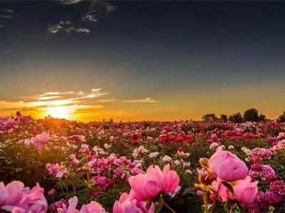 武汉外语外事职业学院什么样,武汉外语外事职业学院周围环境