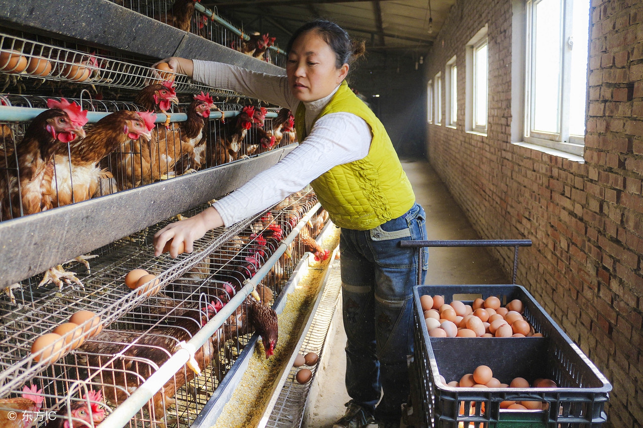 在农村干什么赚钱要投资少风险,在农村想做点小生意干什么最好