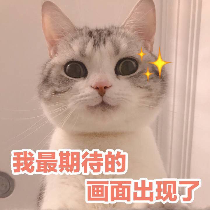 队长小翼集合,队长小翼第一季的第六集