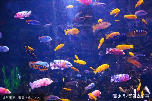 迪拜还有哪些地方好玩,迪拜一定要去的景点