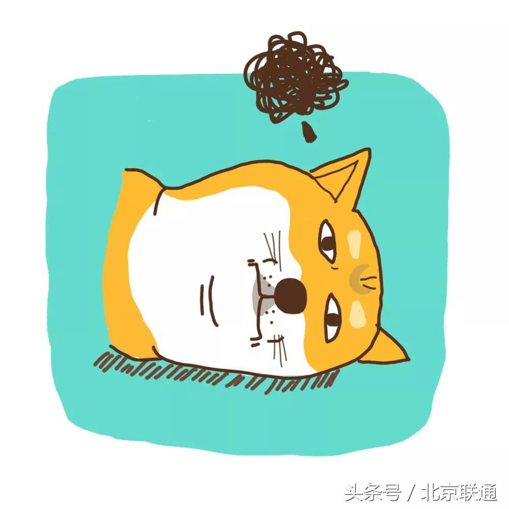 手机屏幕油腻解决方法,手机屏幕油腻用什么擦最好