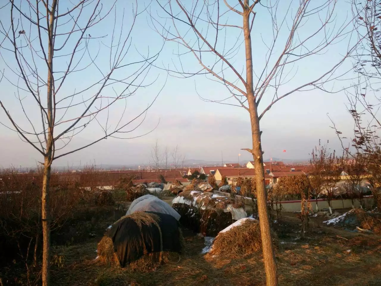 日照房价,日照索隆