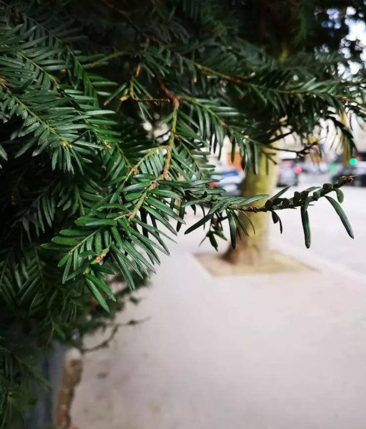 华为p20系列手机评测,华为p20手机测评视频