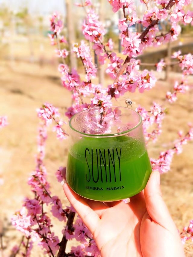 荡漾在春天的日子,荡漾在春的日子里绘本