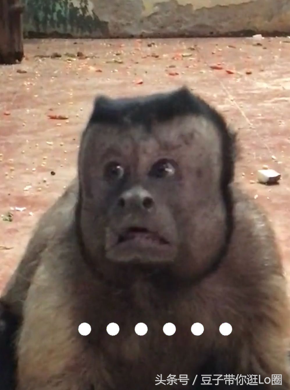 这条裙子很漂亮,这条裙子看起来很漂亮