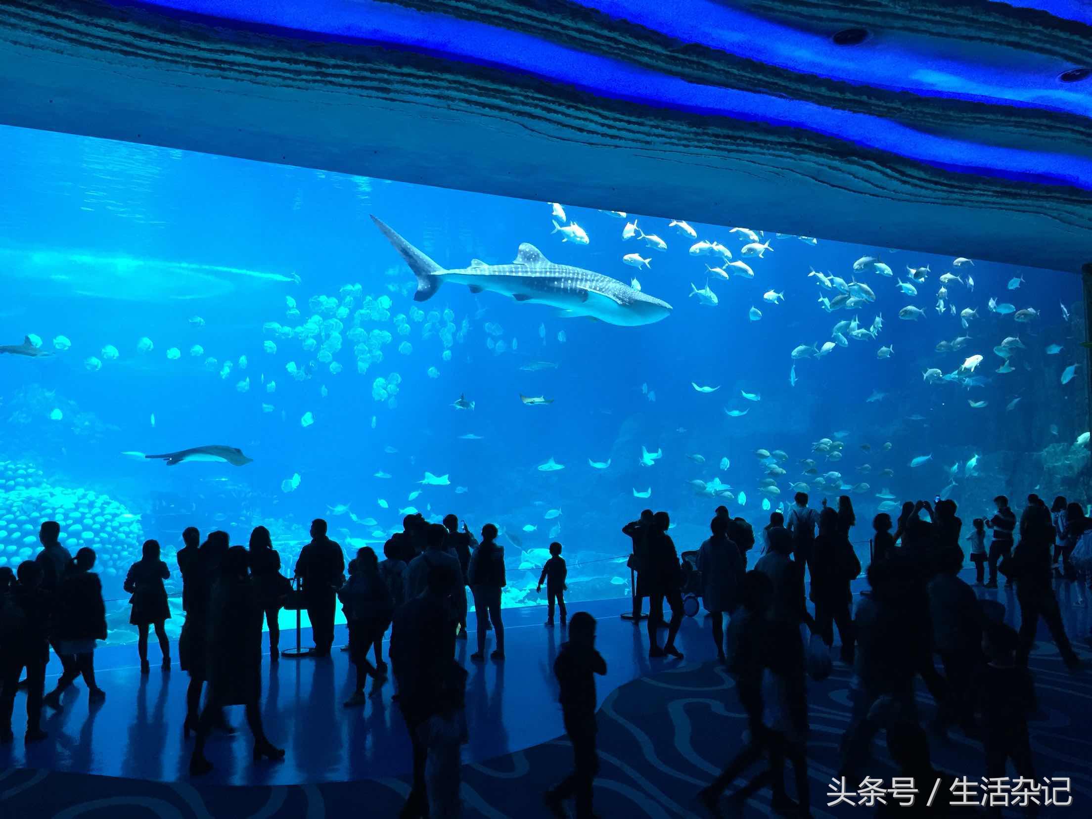 珠海旅游推荐片,珠海有哪些不为人知的游玩地方