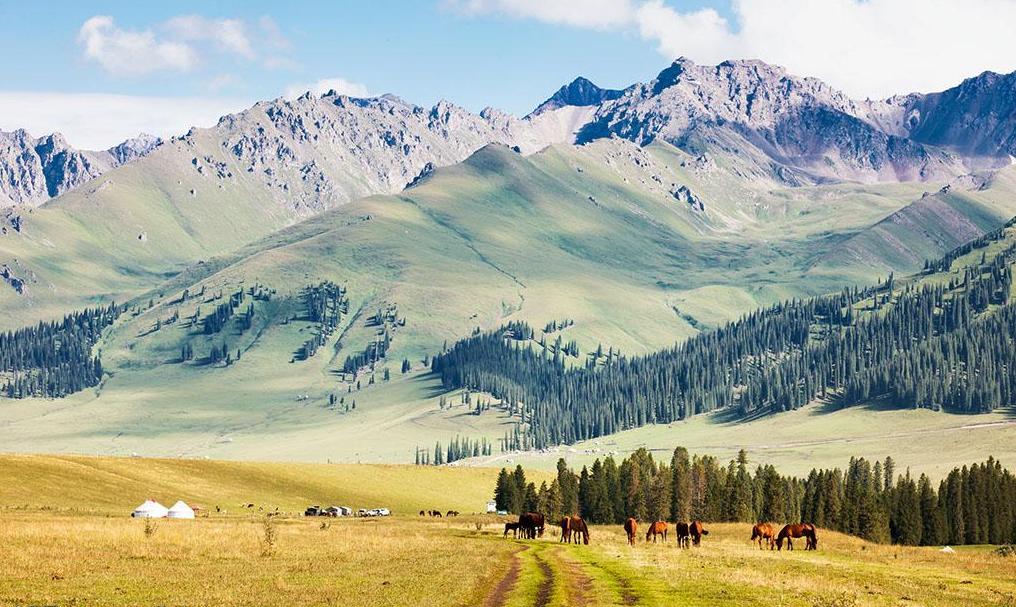 淘宝新疆也包邮了吗,淘宝上怎么设置新疆西藏不包邮