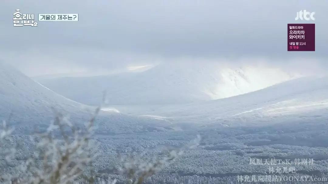 第一季9.4分，第二季9.3分，这家民宿也太受欢迎了