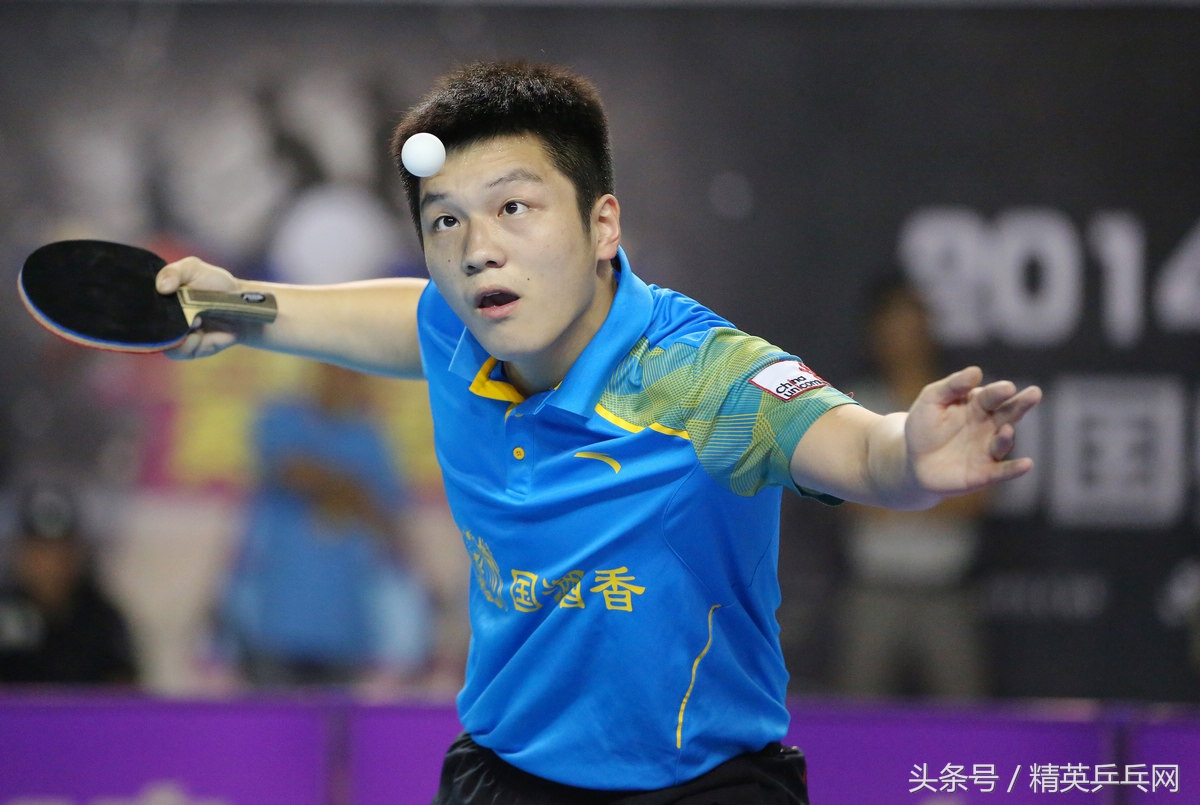 高端乒乓球底板推荐,精英乒乓网十大国产底板