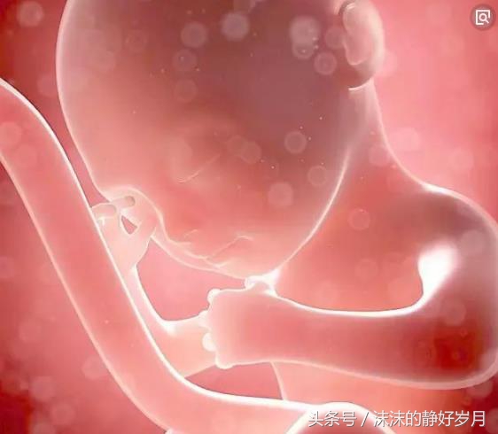 小孩会有胎儿时期的记忆吗,小孩可以记得在妈妈肚子里的事吗