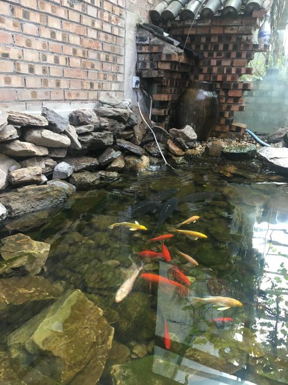 里外院，定格儿时最真的记忆