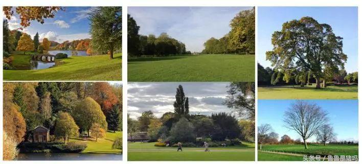 昆山城东体育公园最新进展,昆山体育公园建设现状