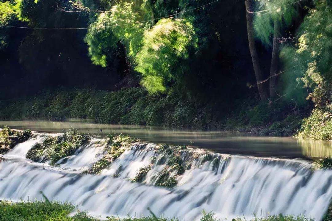 成都周边洗肺好去处,成都周边私藏的8个洗肺胜地