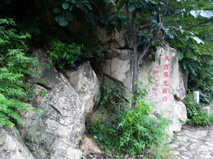 天津适合春游的公园,踏着欢快的脚步