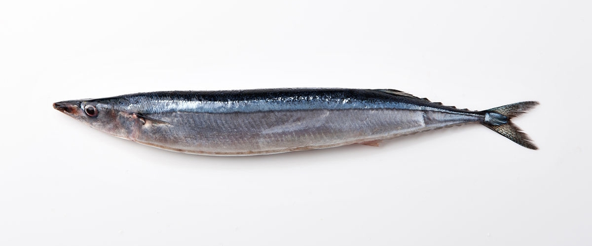 日本料理里经常点的鱼,日本料理最正宗的是什么鱼