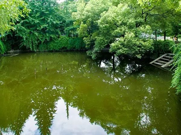 长沙市一中校友,我的母校