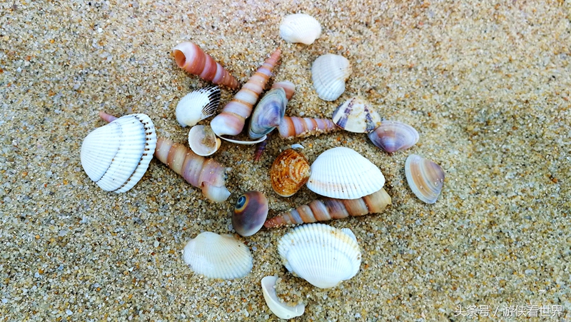 江门市台山东南亚风情村美食,江门市台山有哪些好吃好玩的地方