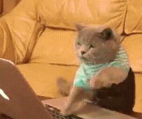 中英文大小写怎么切换,电脑输入英文大小写怎么切换