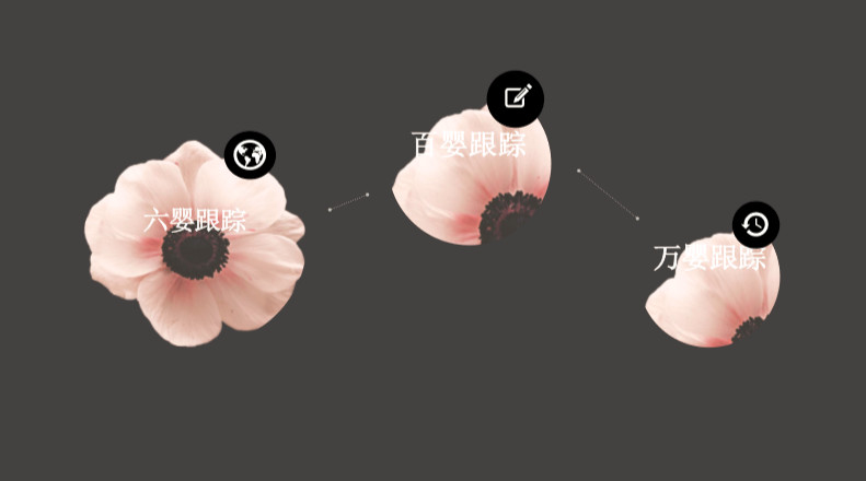 程跃博士金色摇篮,程跃博士简历