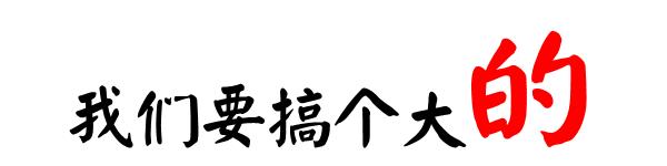 四川成县陈氏香鹅掌,四川成县香鹅掌