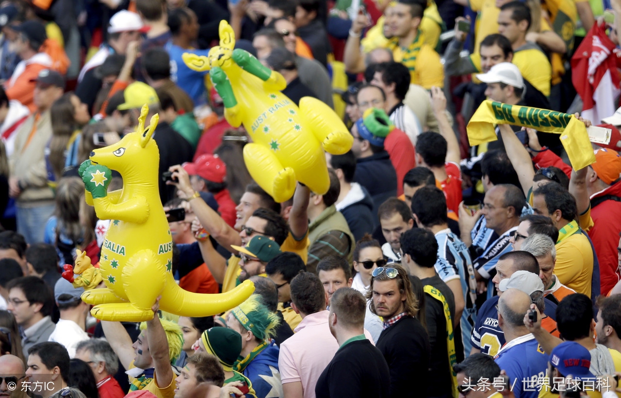 奔向莫斯科：世界杯32强之“袋鼠军团”澳大利亚