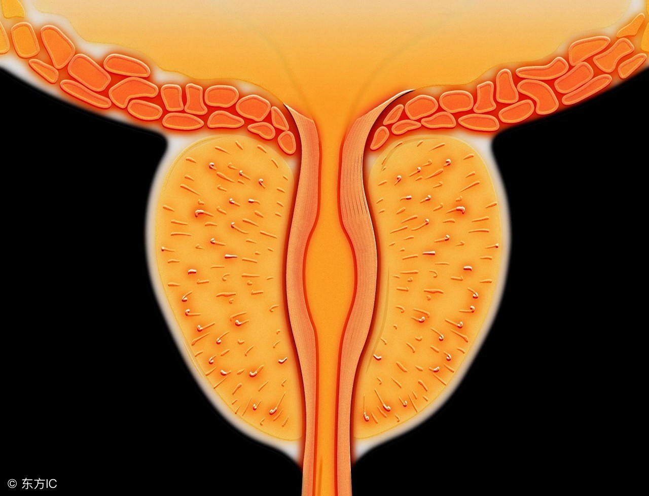 单纯疱疹2型传播途径有哪些,单纯疱疹可以通过唾液传播吗