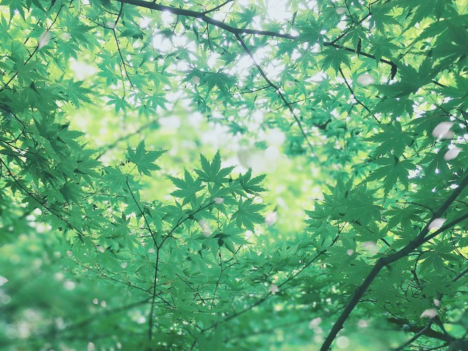 涔濇邯鐙竴鏃犱簩,涔濇邯娓哥帺鎰熸偀