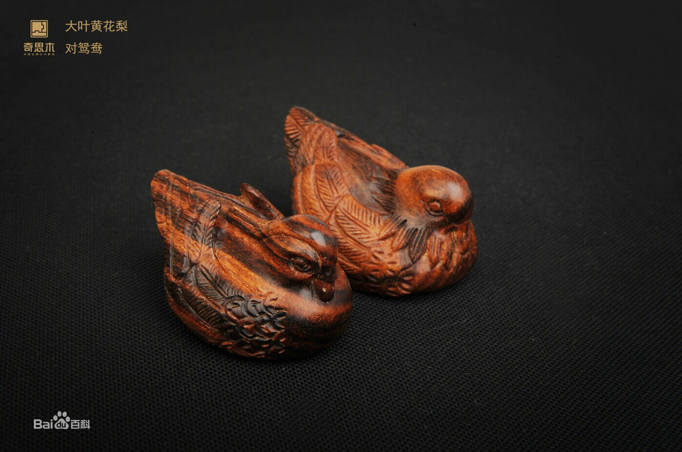 世界名木有多少种,世界名贵树木材图片