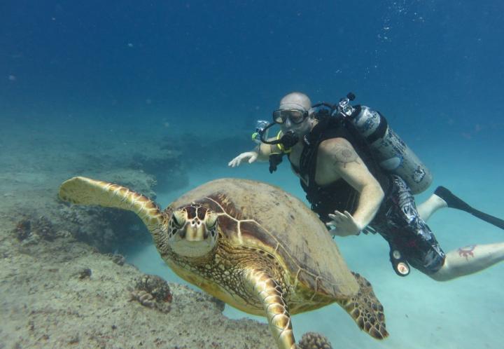 被潜水爱好者誉为10个全球最迷人的潜水天堂，大饱你眼福