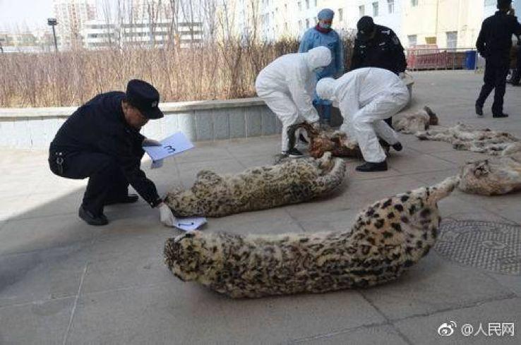 【三分钟法治新闻全知道】德国总理默克尔亲口承认有“恐俄症”？！原来这竟与她小时候自行车被偷有关……