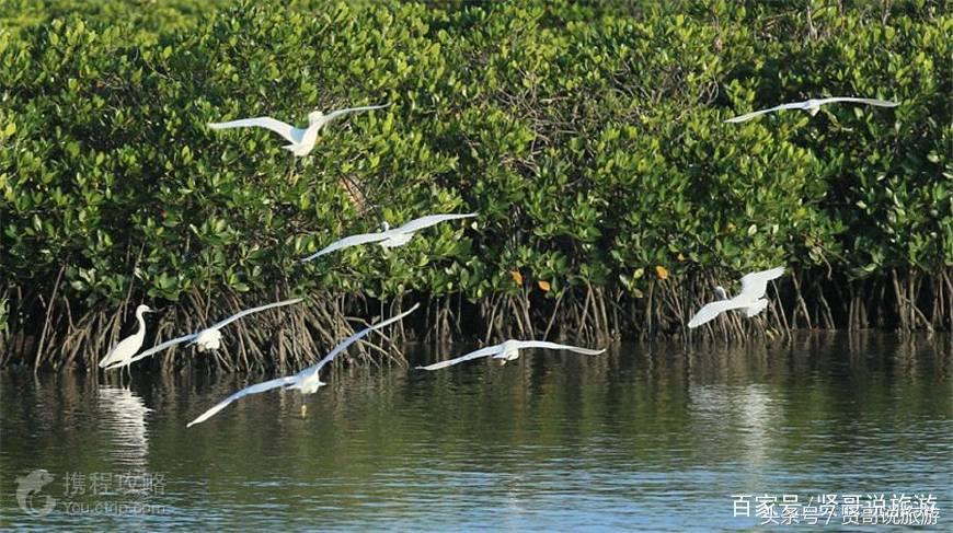 三亚海口旅游攻略必去景点,海口文昌旅游景点大全攻略