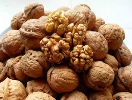 石家庄国家商标注册官网,石家庄商标类别推荐哪家