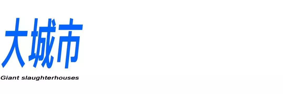 广州地铁的真实感受,北上广深挤地铁详细攻略