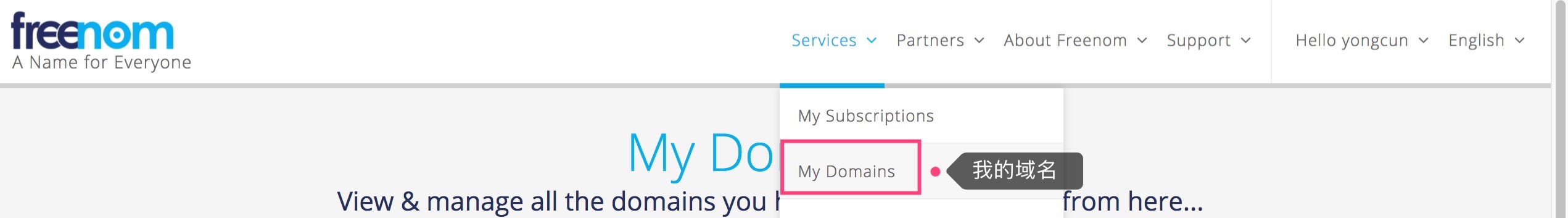 免费顶级域名无限申请和备案,哪里可以申请免费顶级域名