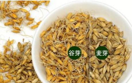 国医大师路志正养生秘方,国医大师路志正的养生方法是什么