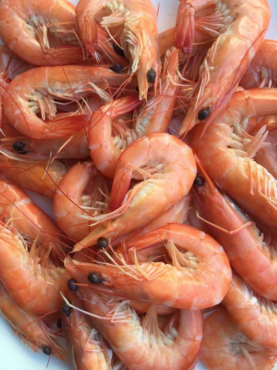 爱旅行爱生活之海南三亚蜈支洲,爱旅行游记攻略