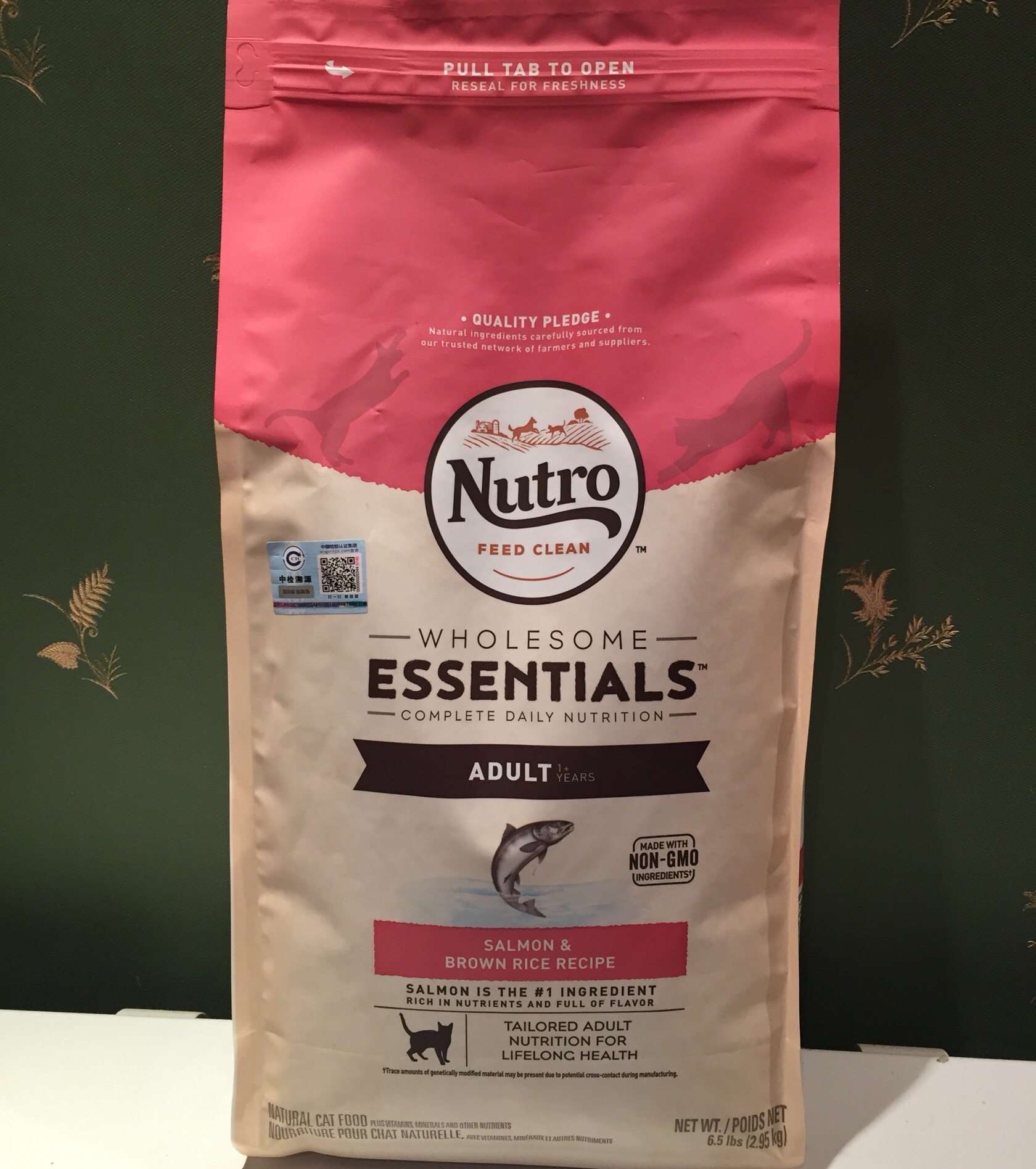 一份猫粮搞定五只小奶猫,一公斤猫粮多少钱