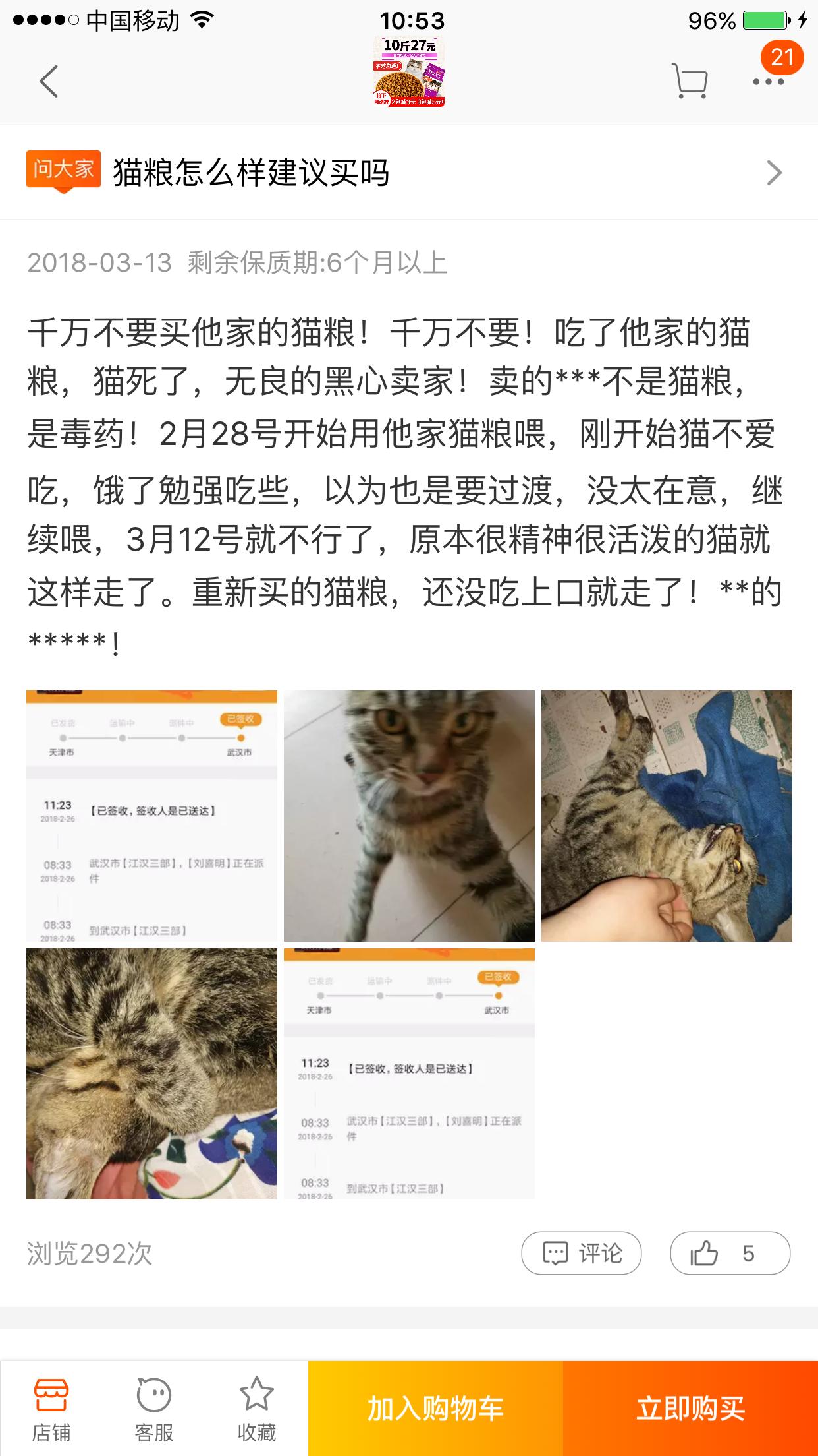一份猫粮搞定五只小奶猫,一公斤猫粮多少钱