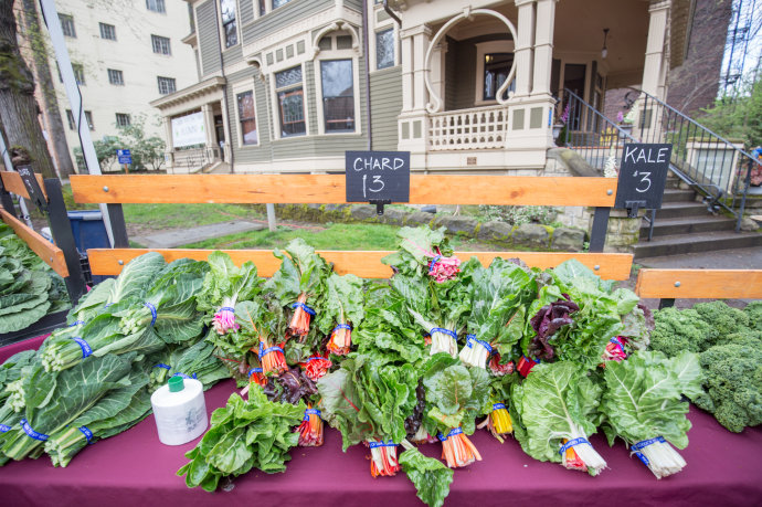 *麻大**合法还免税？国人不熟悉的美国波特兰竟然这么好玩！