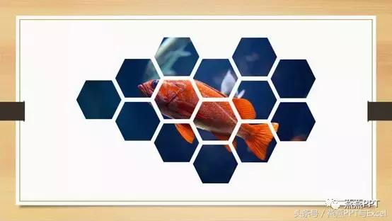 ppt构图格式,ppt构图颜色