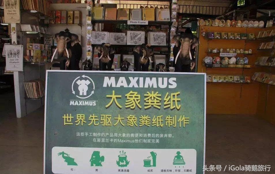 旅游必带的手信,旅游必买的手信