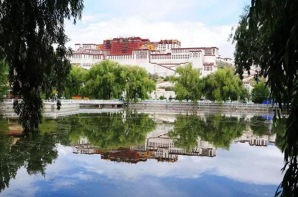 春柳，最平易近人的春色