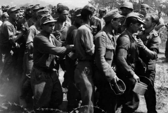 二战德军后期投降视频,假如你是二战德国坦克兵