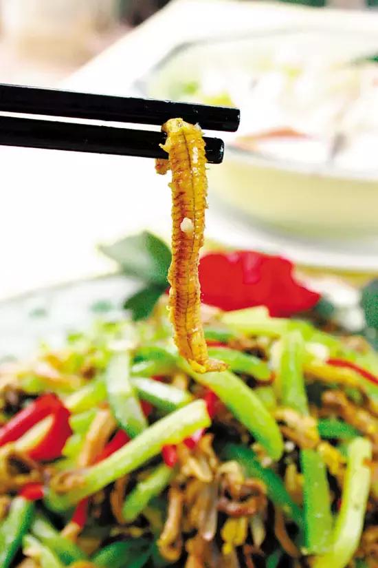 细长的白色水虫,东北小水虫