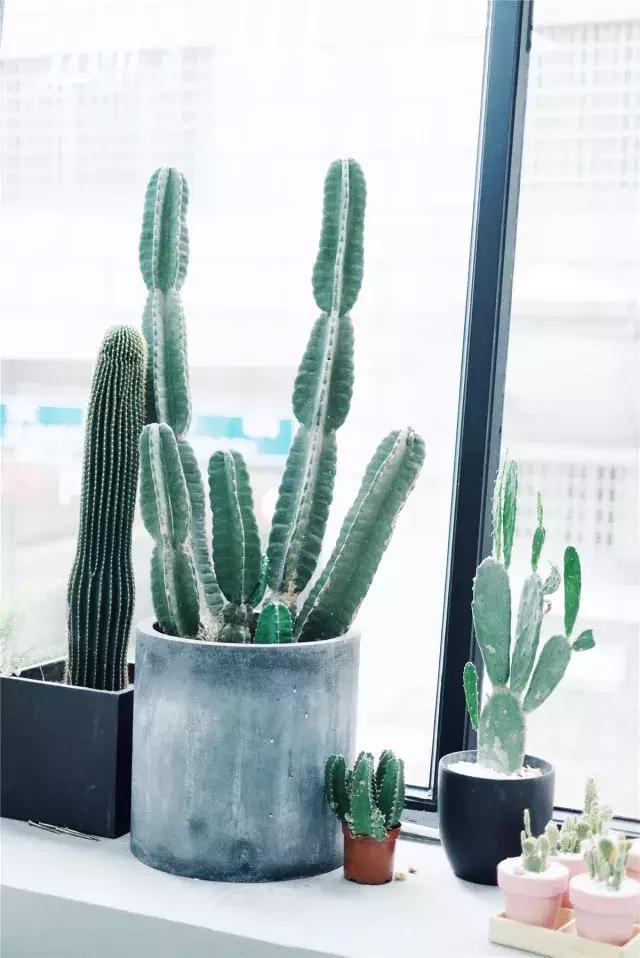 长沙很有名的咖啡馆,湖南长沙网红打卡地咖啡店