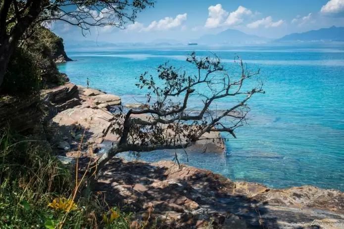 不止九龙旺角，这才是香港的天堂，但99%的人都去错地方了！