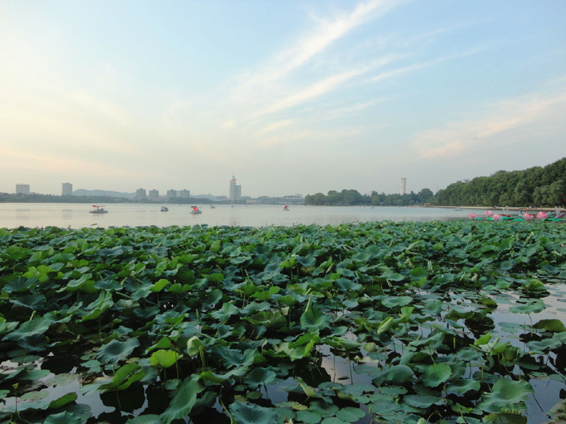 4月机票白菜价！郑州出发低至160，最快1.25小时即达！