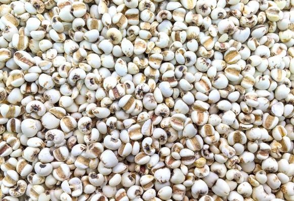 每天都吃薏米对身体有好处吗,薏米对人身体有什么好处